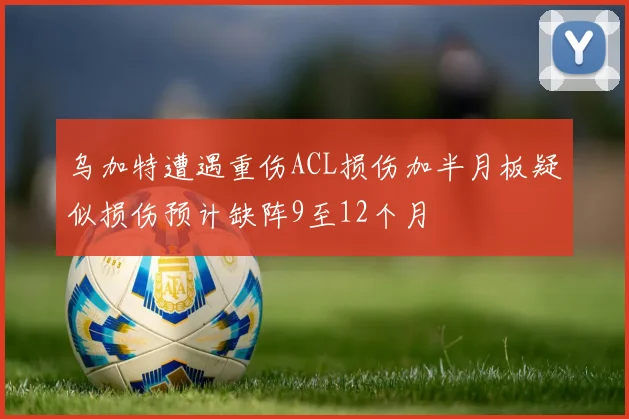 乌加特遭遇重伤ACL损伤加半月板疑似损伤预计缺阵9至12个月